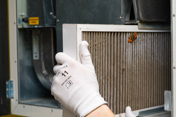 Best Local Air Duct Cleaning Services  in Martindale, TX